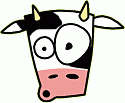 Notorious Cow's Avatar