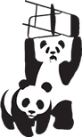 pandas