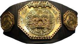 AAA Mega Championship