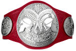 WWE RAW Tag Title