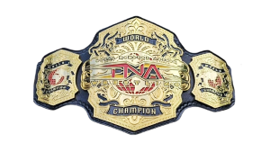 TNA World Championship
